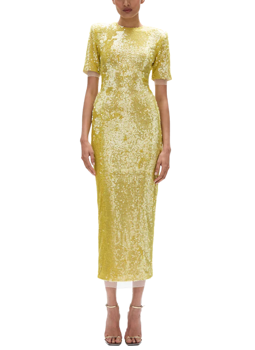 Kaia Sleeve Midi Dress Elizabeth Anthony Kaia Sleeve Midi Dress Elizabeth Anthony