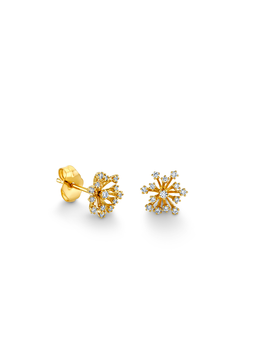 Small Desert Flower Studs