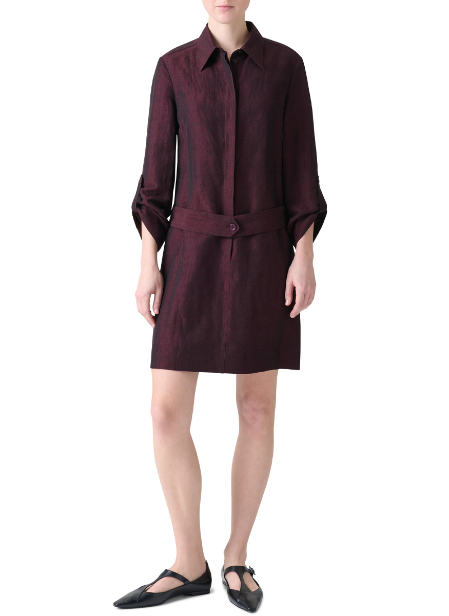 Flared Skirt Shirt Dress