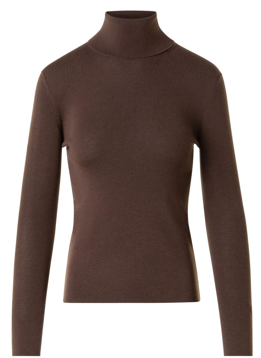 Turtleneck Sweater in Merino Wool