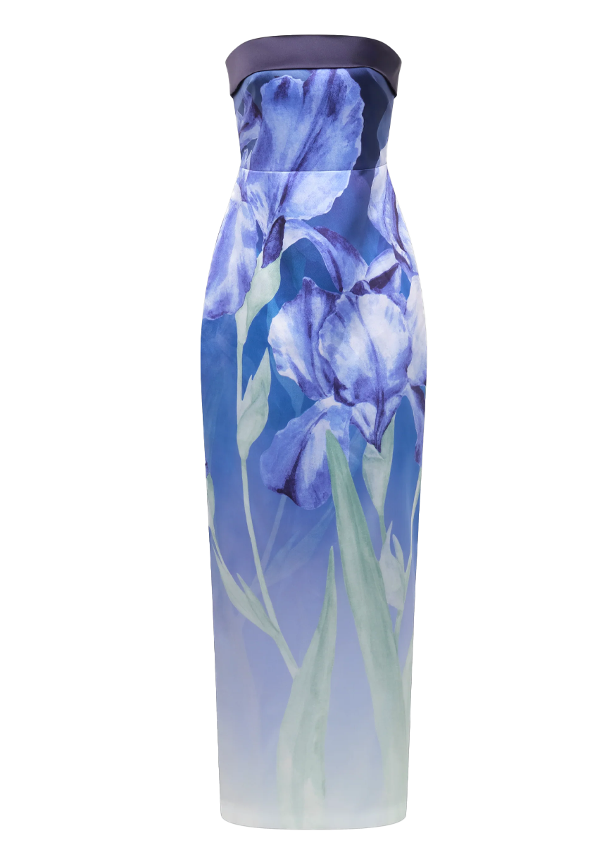 Cyrilla Strapless Column Gown