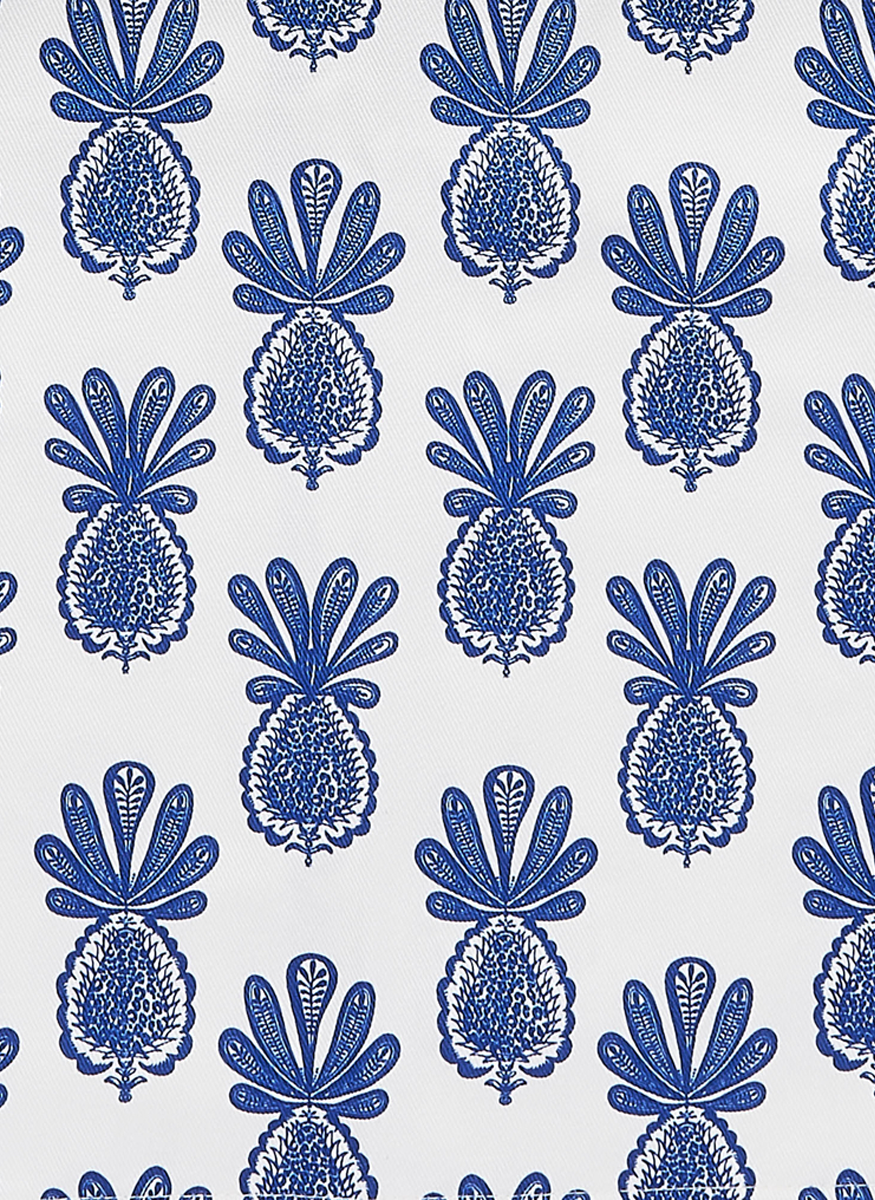 Apron with Pockets in Pineapple Blue