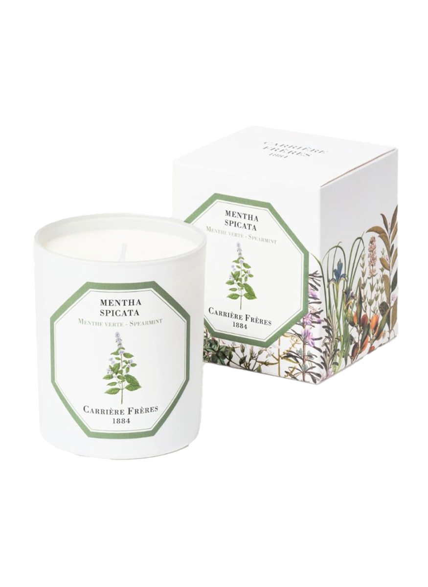 Botanical Candle in Spearmint - Mentha Spicata