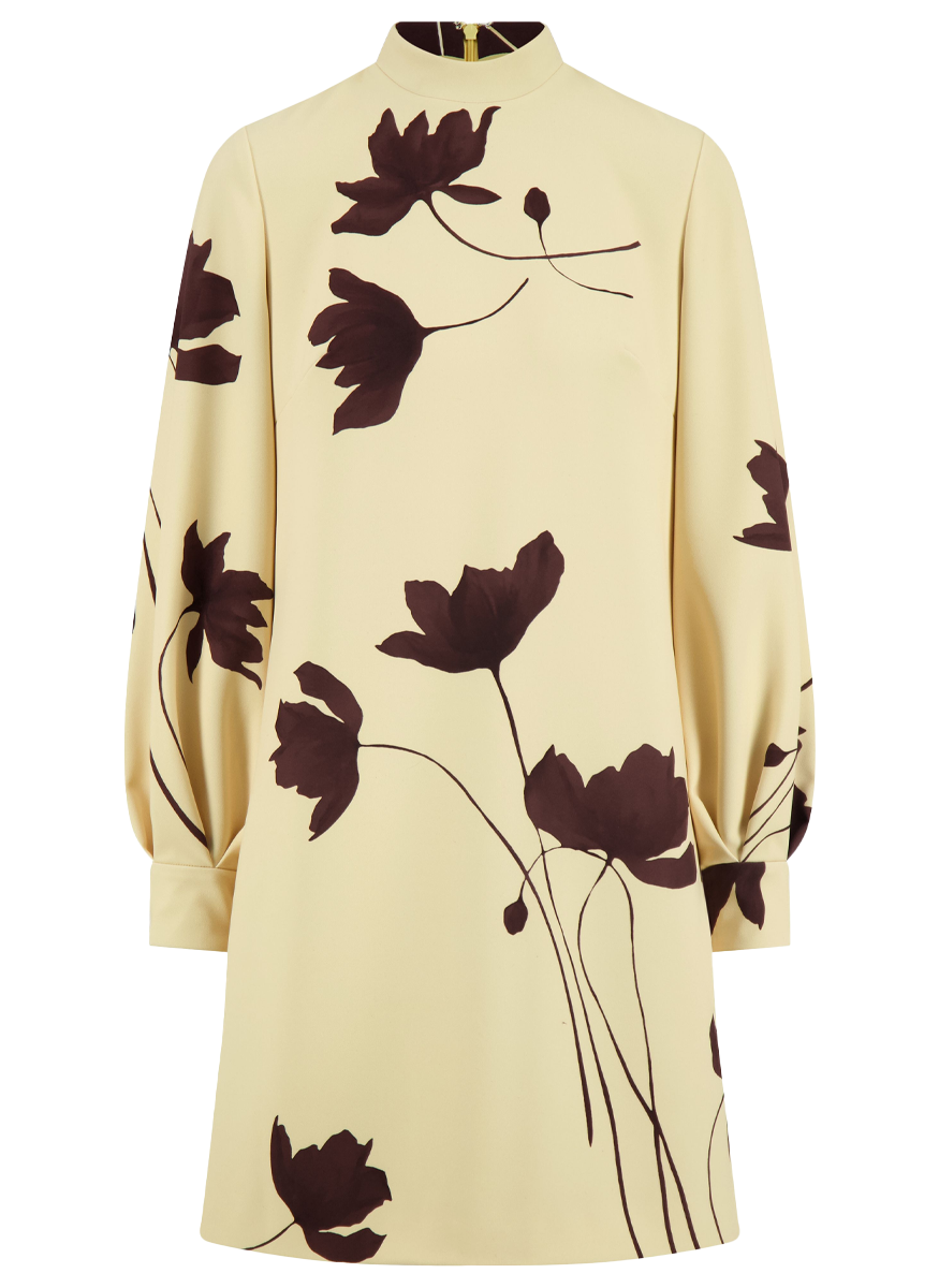 Elizabeth Long Sleeve Floral Mini Dress