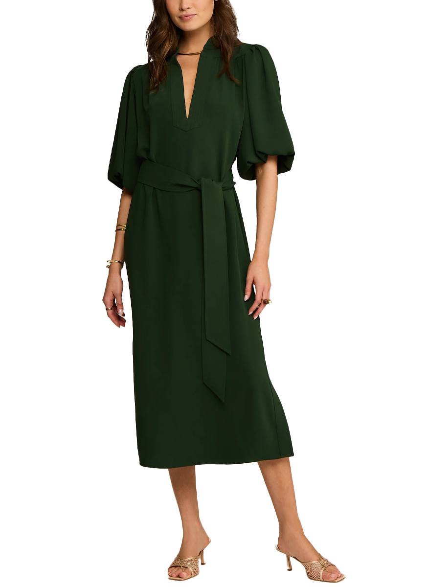 Dani Dress in Alpine Green