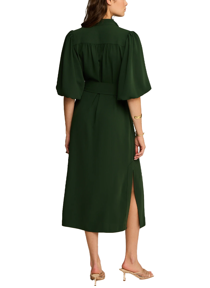Dani Dress in Alpine Green