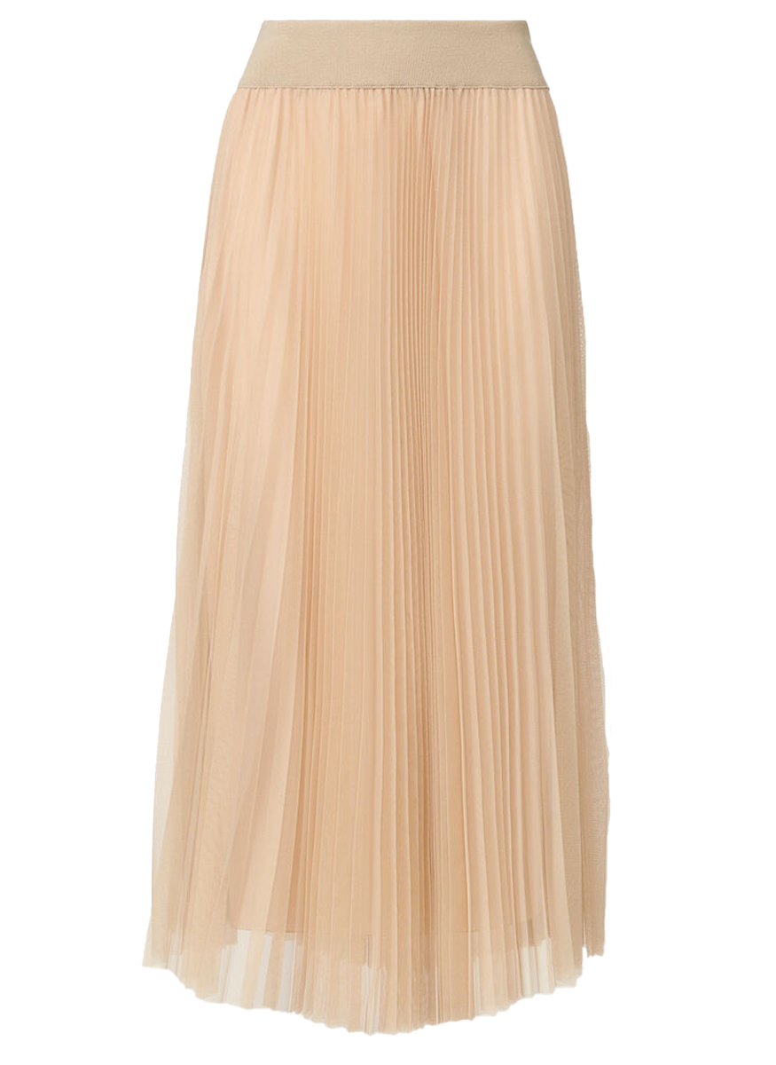 Pleated Tulle Wide Skirt
