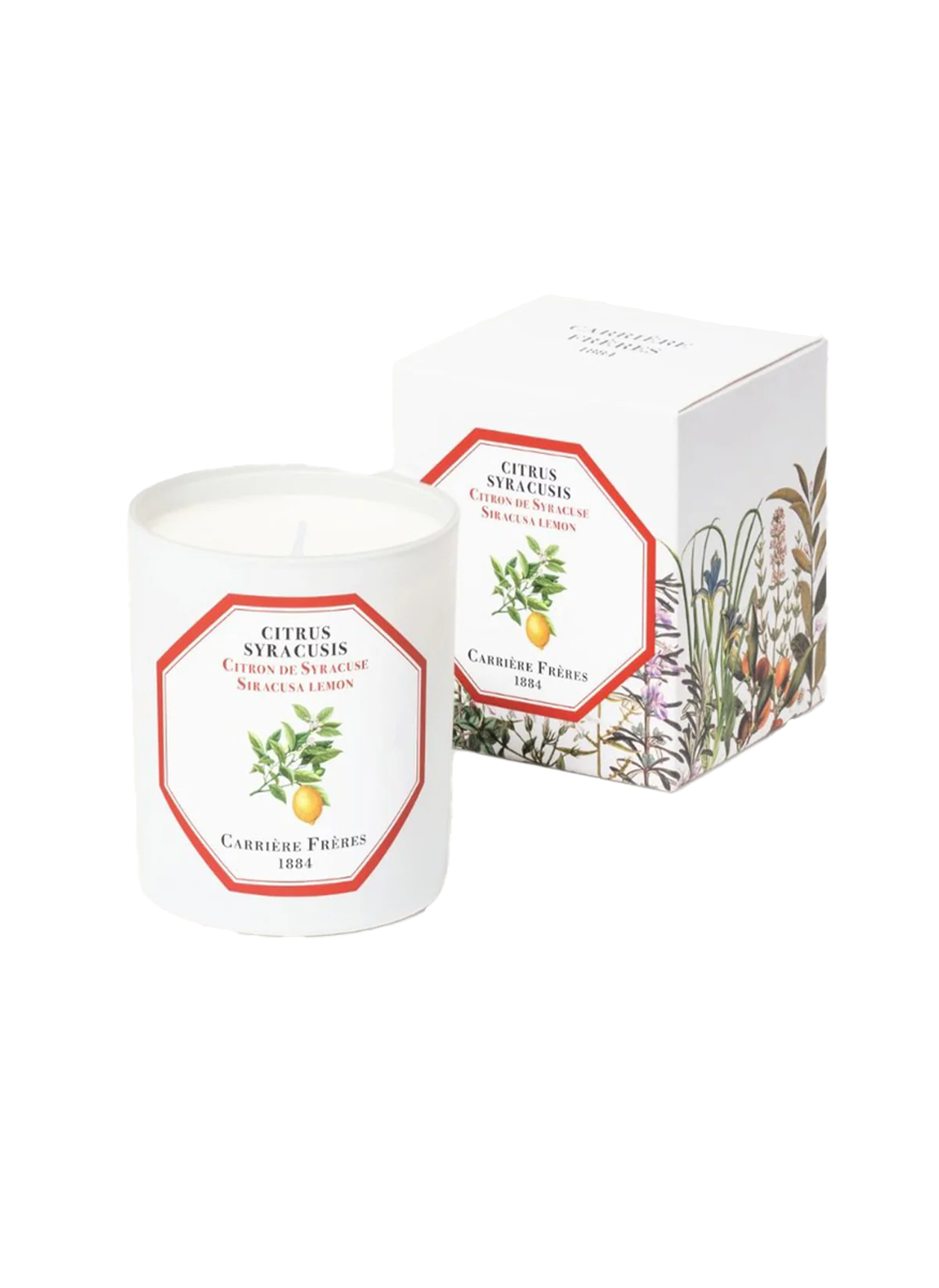 Botanical Candle in Lemon - Citrus Syracusis