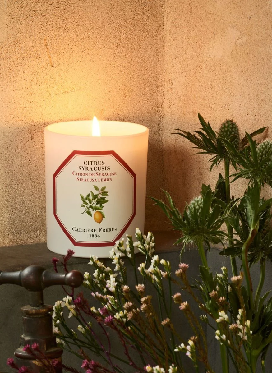 Botanical Candle in Lemon - Citrus Syracusis