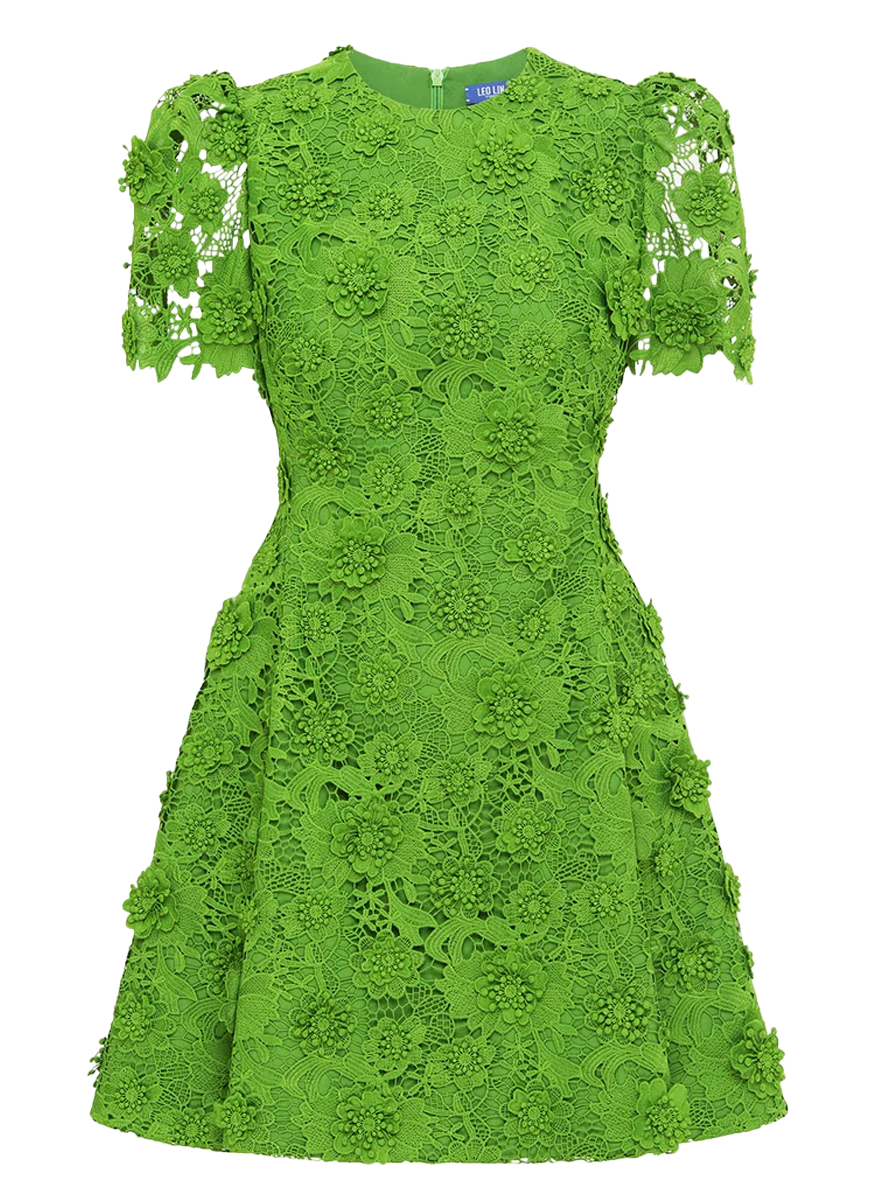 Elyse Lace Short Sleeve Mini Dress