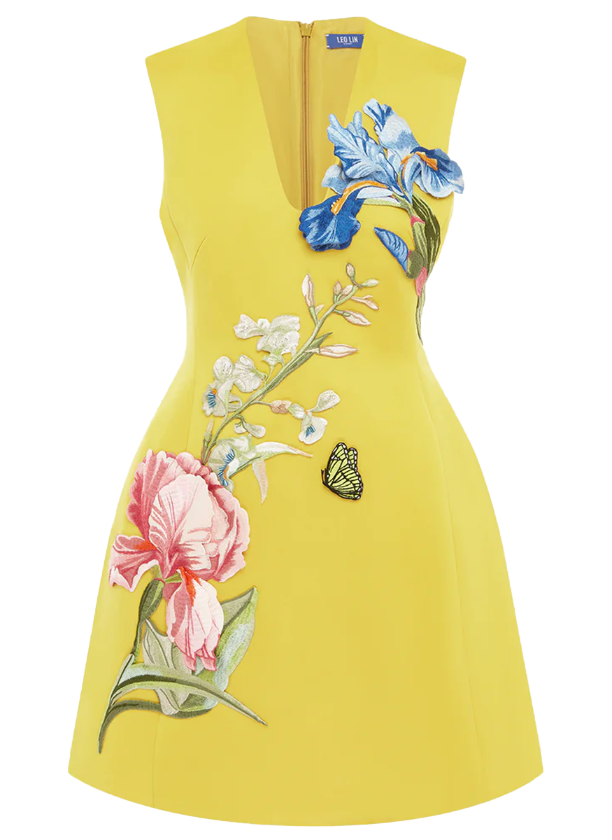 Bree V Neck Embroidery Mini Dress