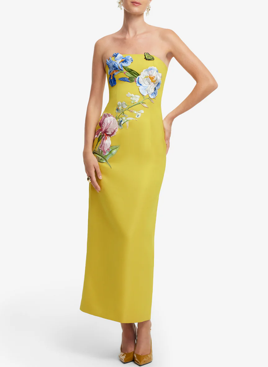 Rayna Applique Floral Bustier Maxi Dress