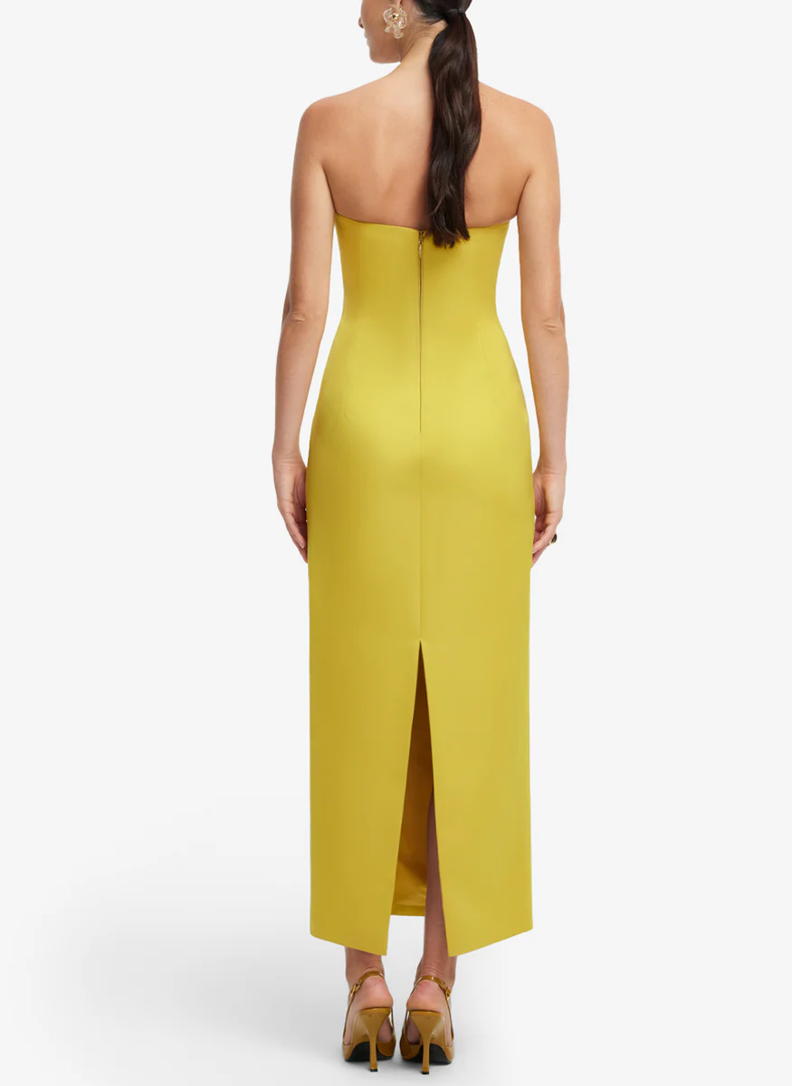 Rayna Applique Floral Bustier Maxi Dress - Leo Lin