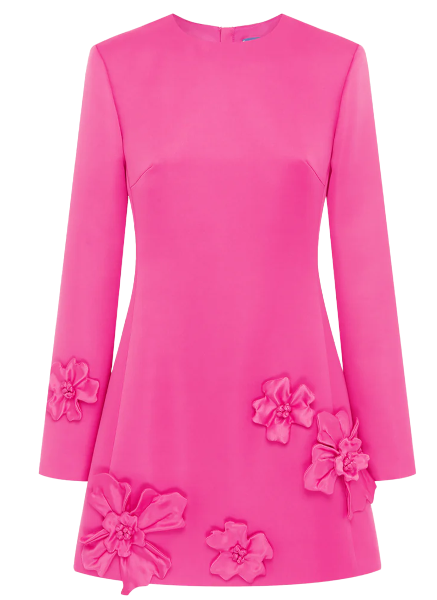 Aliza Long Sleeve Floral Applique Mini Dress