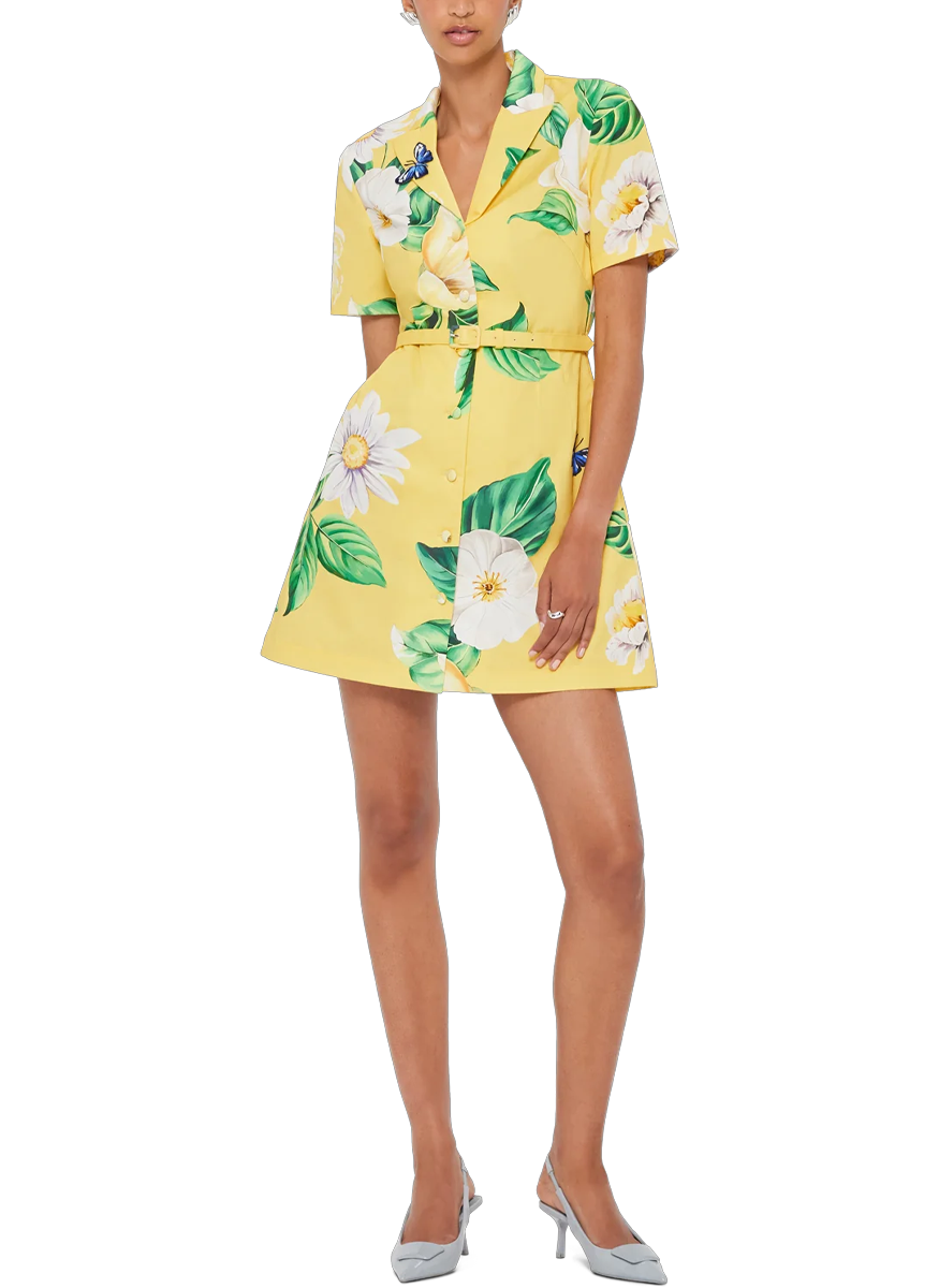Brigitte Mini Dress