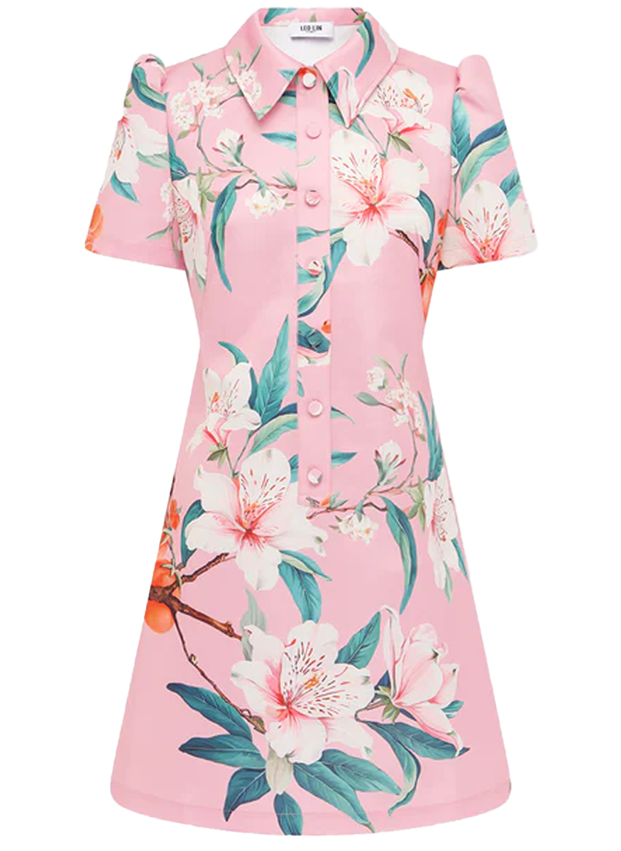 Brooke Mini Dress in Lavish
