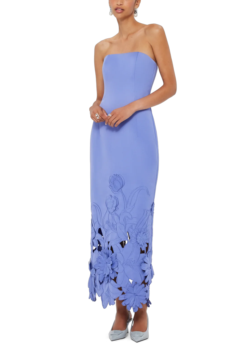 Rayna Applique Bustier Dress