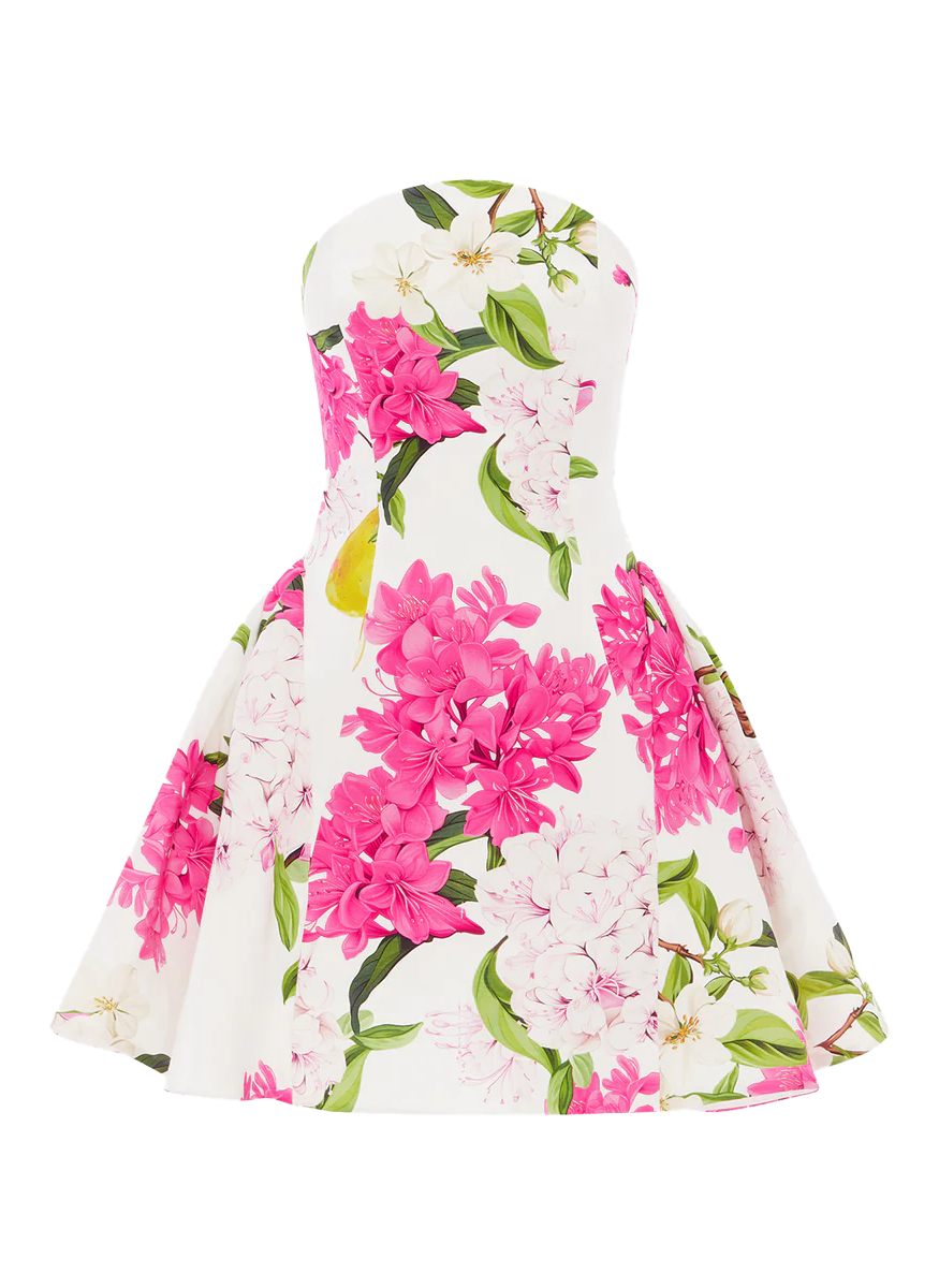 Reese Bustier Mini Dress  Elizabeth Anthony