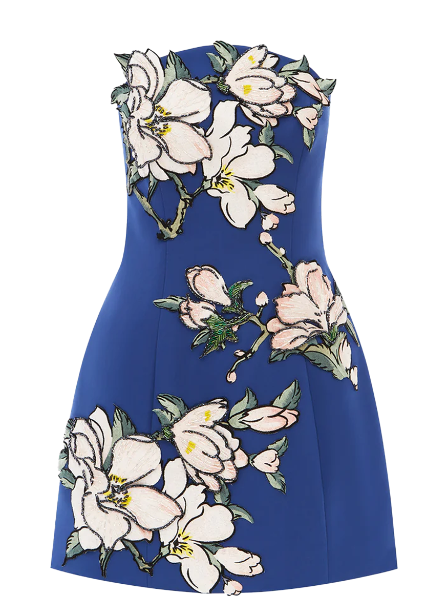 Zaria Appliqué Floral Bustier Mini Dress