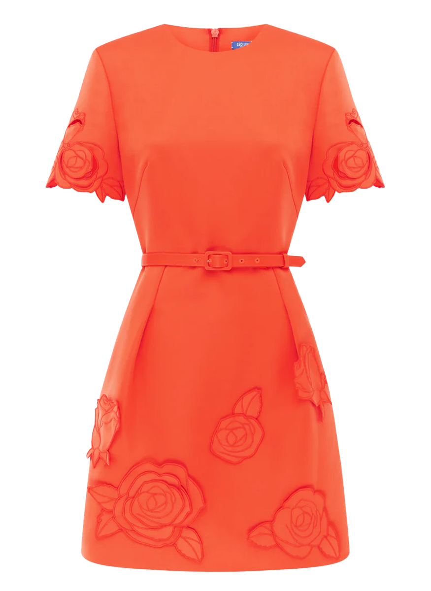Aurelie Appliqué Short Sleeve Mini Dress