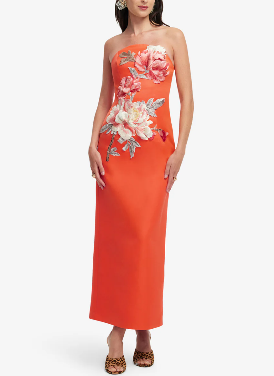 Ava Appliqué Floral Bustier Maxi Dress