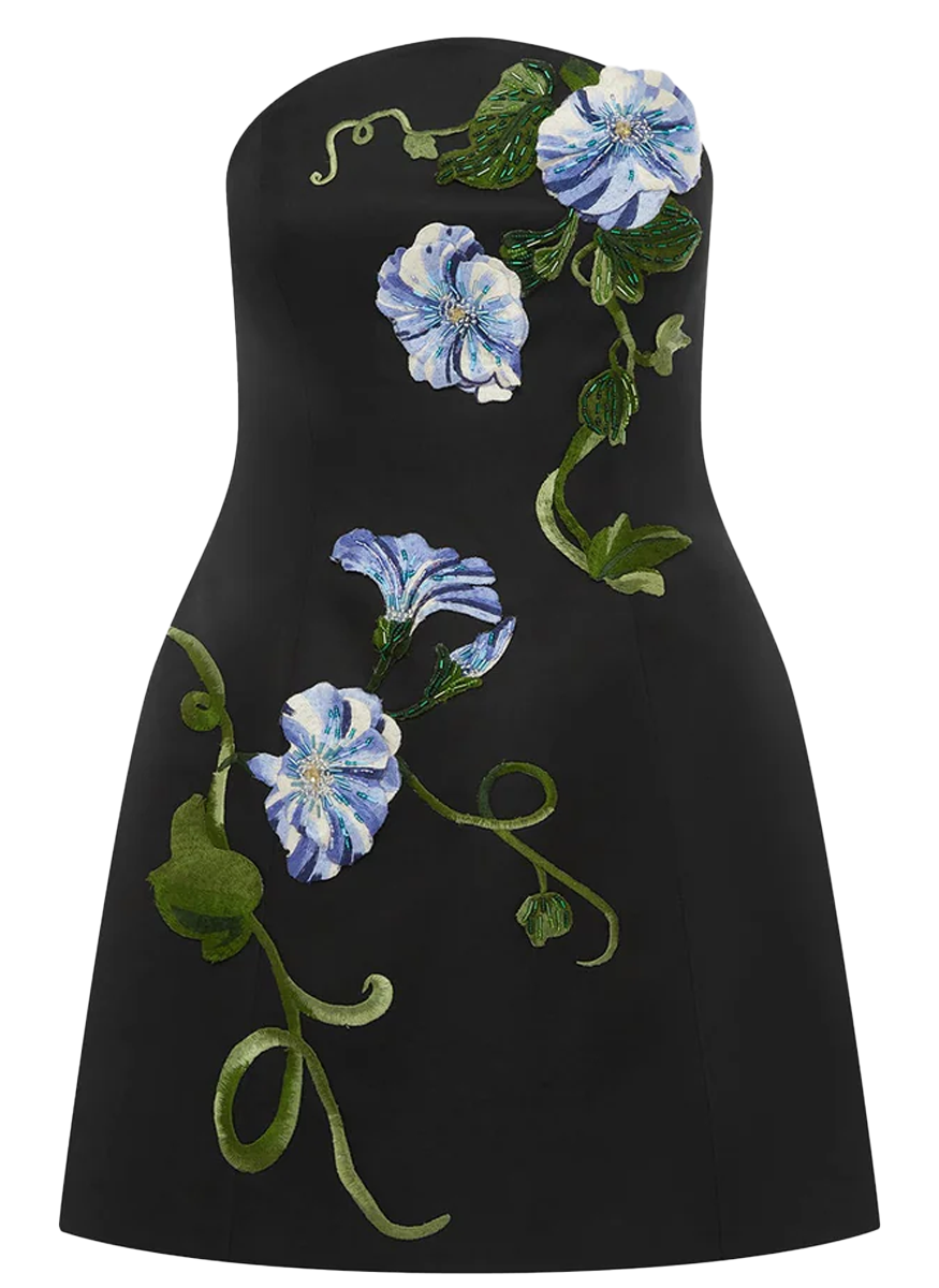 Zaria Appliqué Floral Bustier Mini Dress