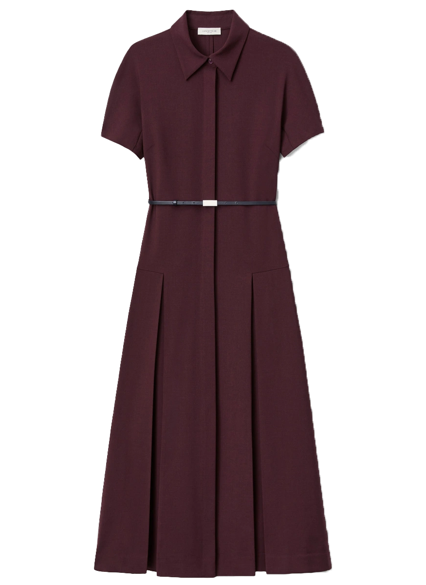 Responsible Stretch Wool Belted Pleated Dress