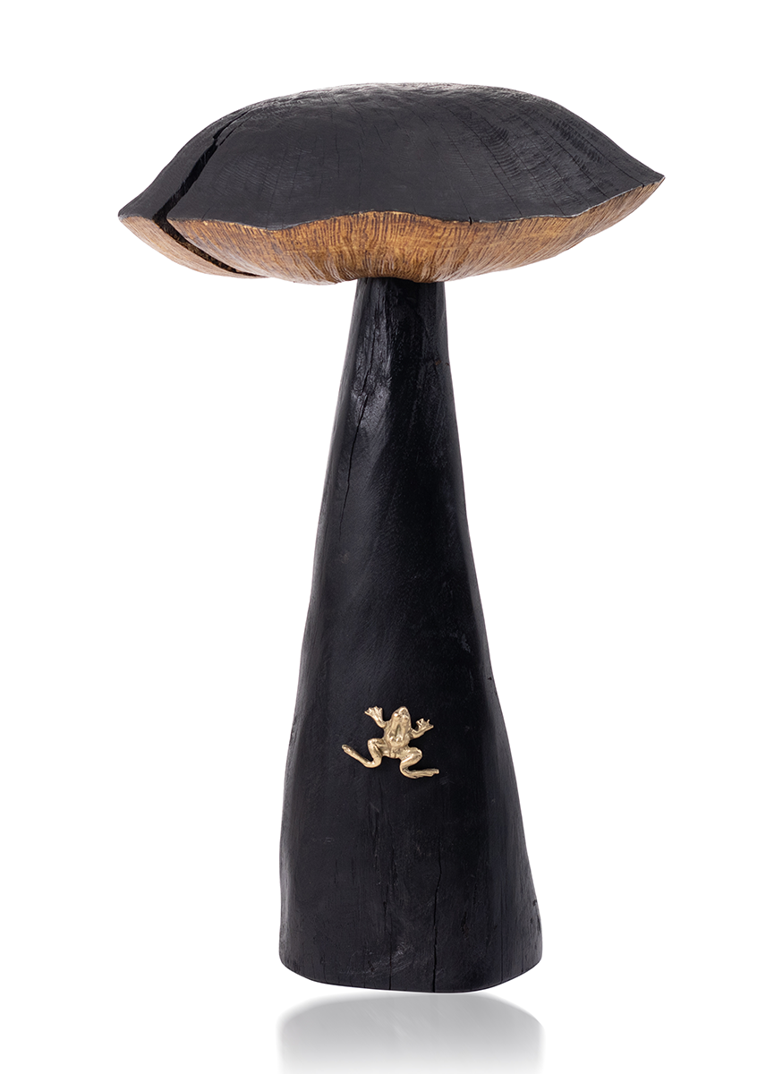 Charred Wood Mushroom with Frog