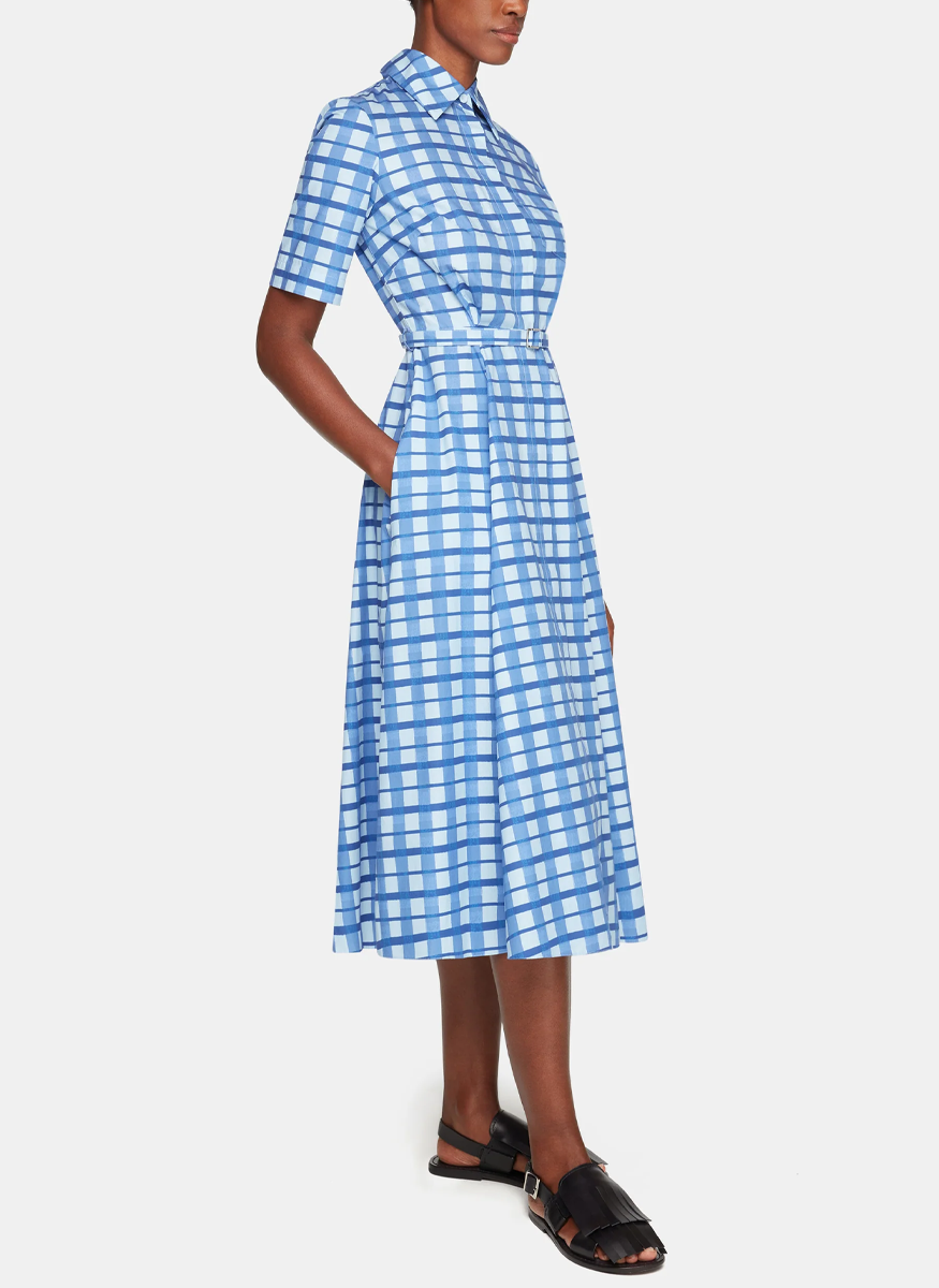 Rubie Dress in Blue Painted Gingham Cotton Poplin - Emilia Wickstead