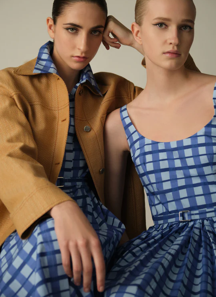 Rubie Dress in Blue Painted Gingham Cotton Poplin - Emilia Wickstead