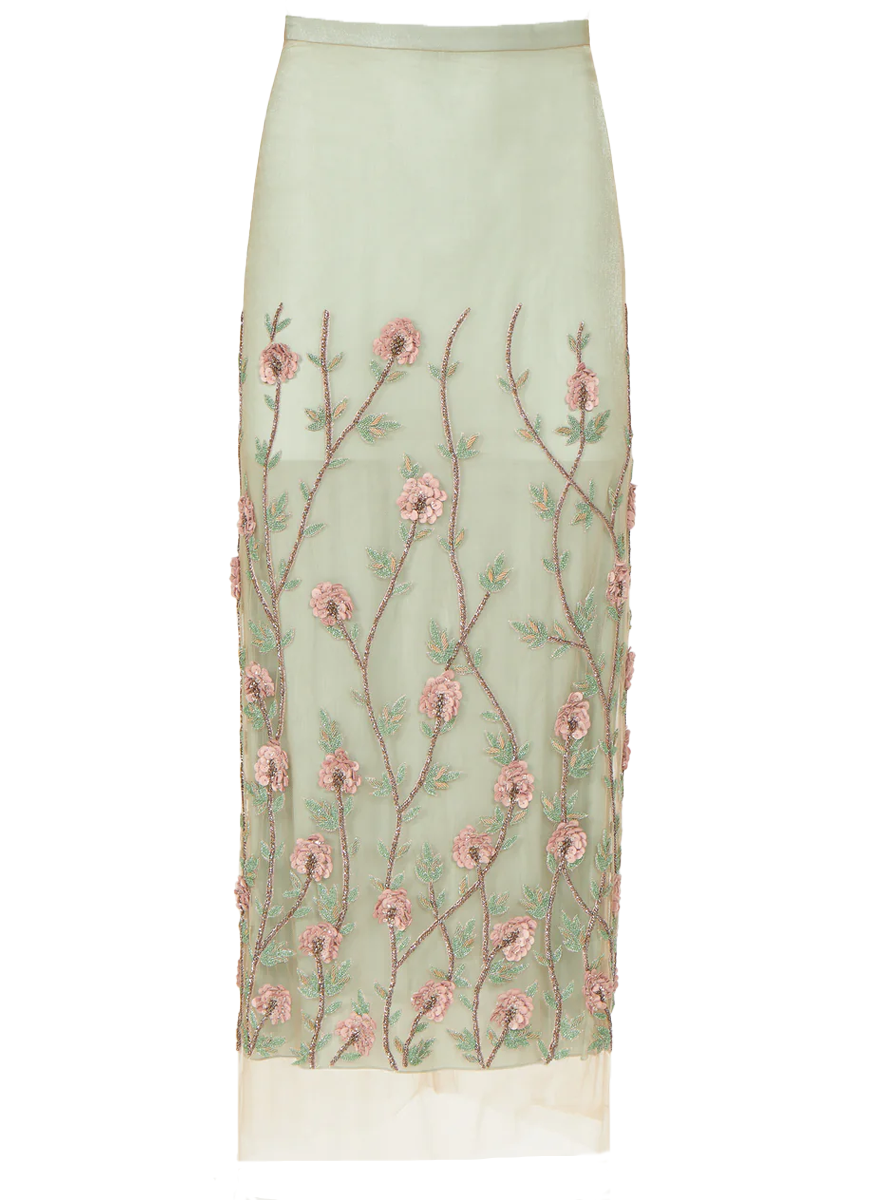 Zephee Embroidered Tulle Skirt