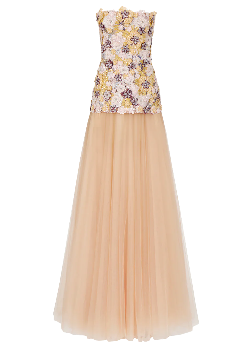 Thia Embroidered Tulle Strapless Dress