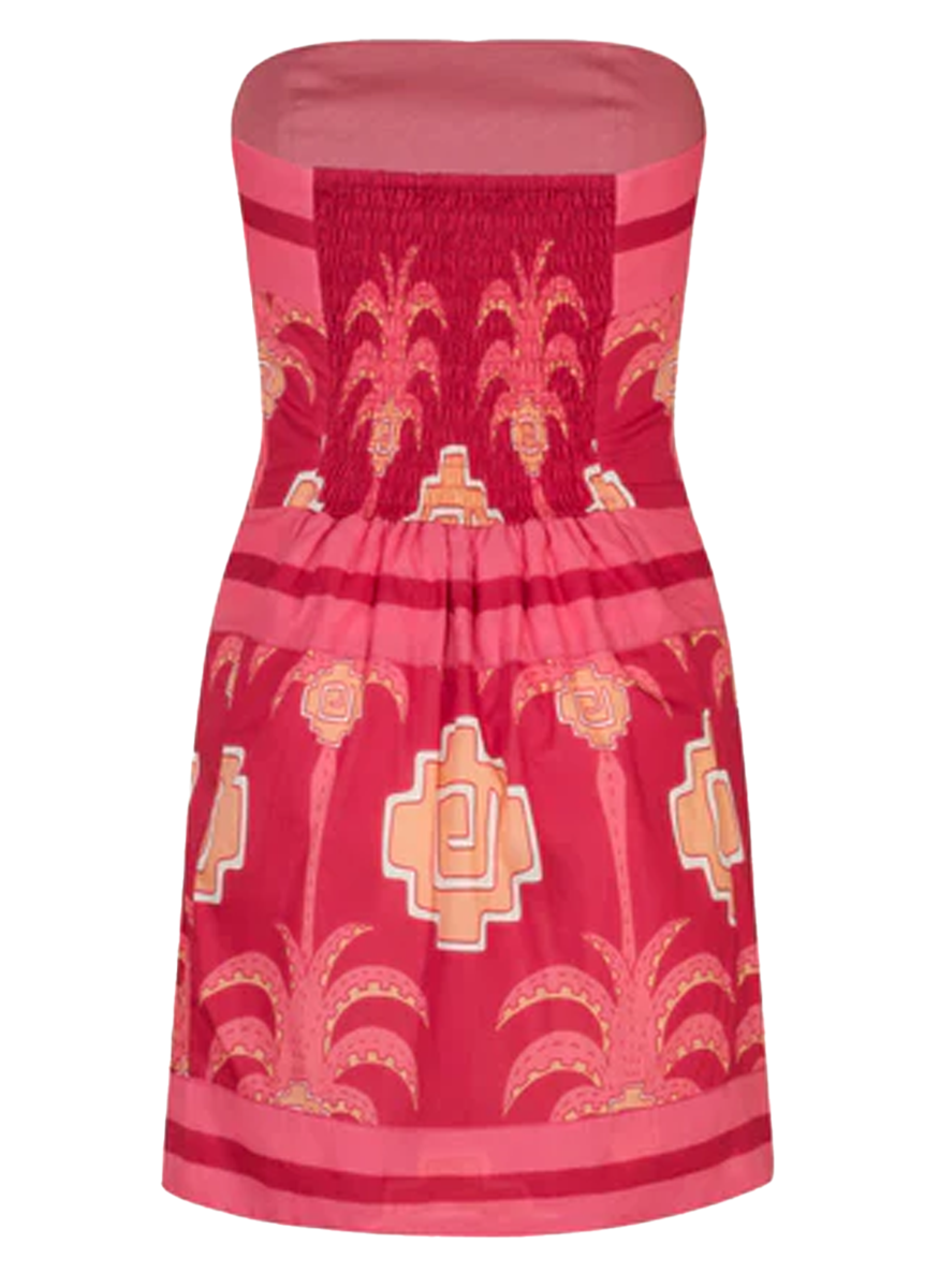 Raiz Ritual Mini Dress