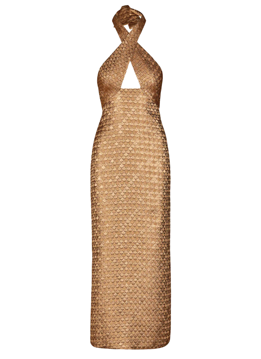 Elegant Expedition Dress