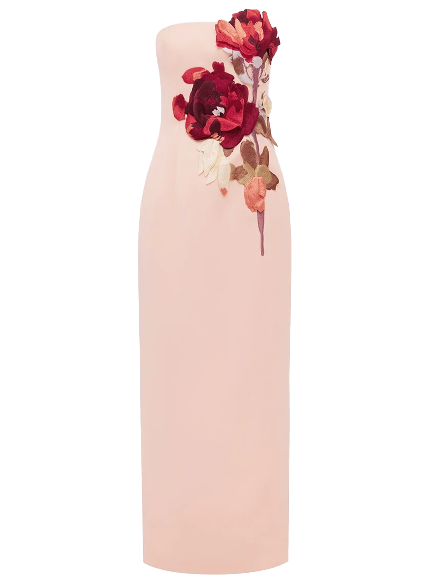 Rayna Embroidered Bustier Maxi Dress