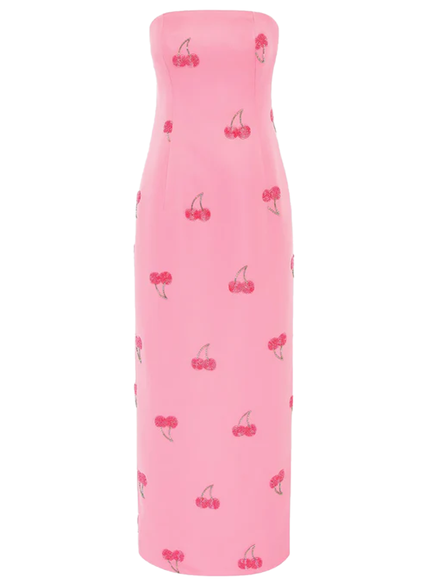 Rayna Embellished Bustier Maxi Dress – Elizabeth Anthony