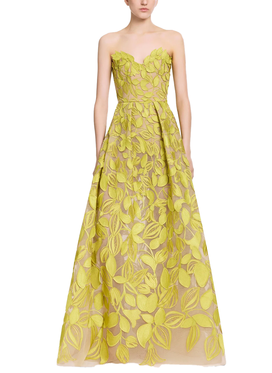 Tulle Embroidered Gown