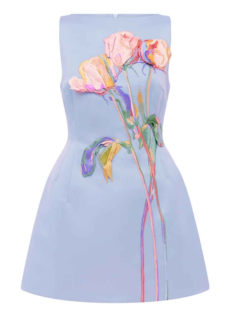 Ali Embroidered Boat Neck Mini Dress