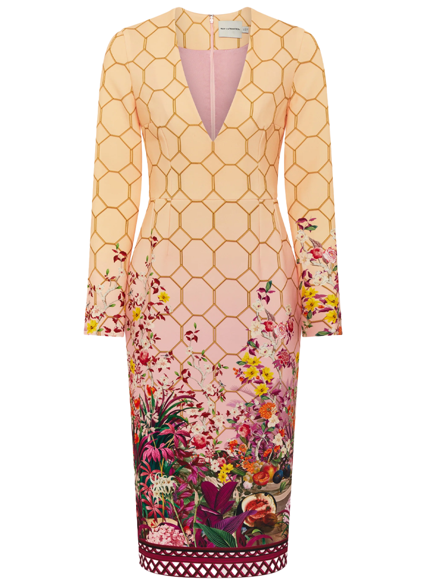 Nadja Conservatoire Blush Dress