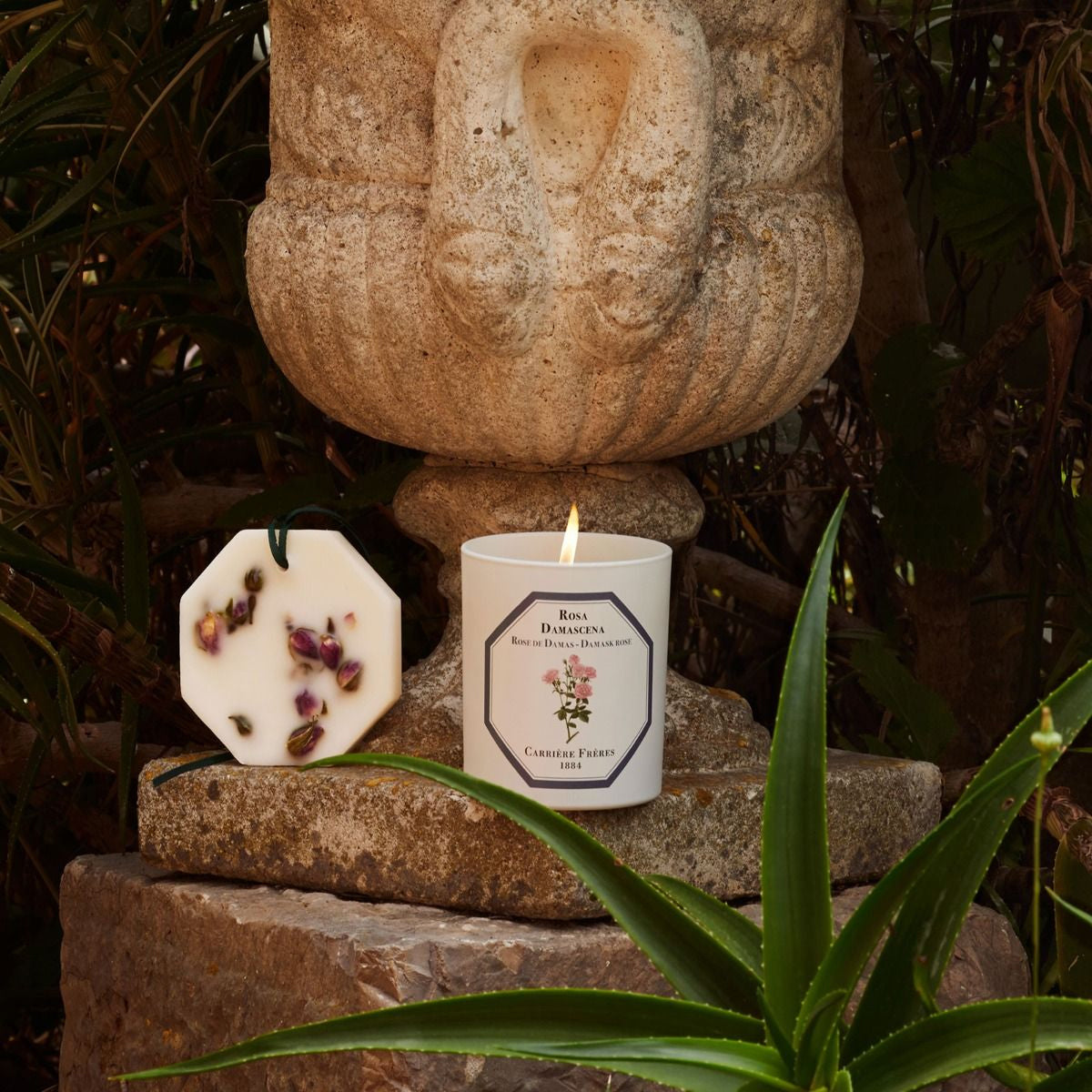 Botanical Candle in Damask Rose - Rosa Damascena