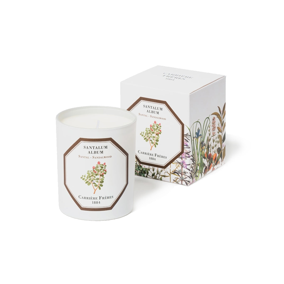 Botanical Candle in Sandalwood - Santalum Album