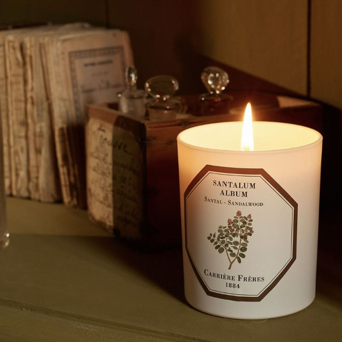 Botanical Candle in Sandalwood - Santalum Album
