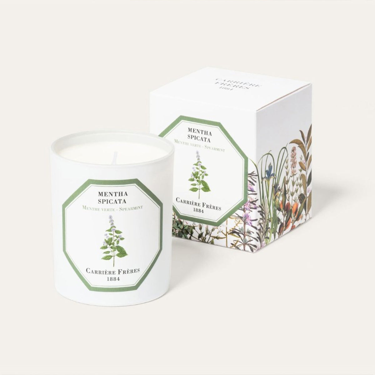 Botanical Candle in Spearmint - Mentha Spicata