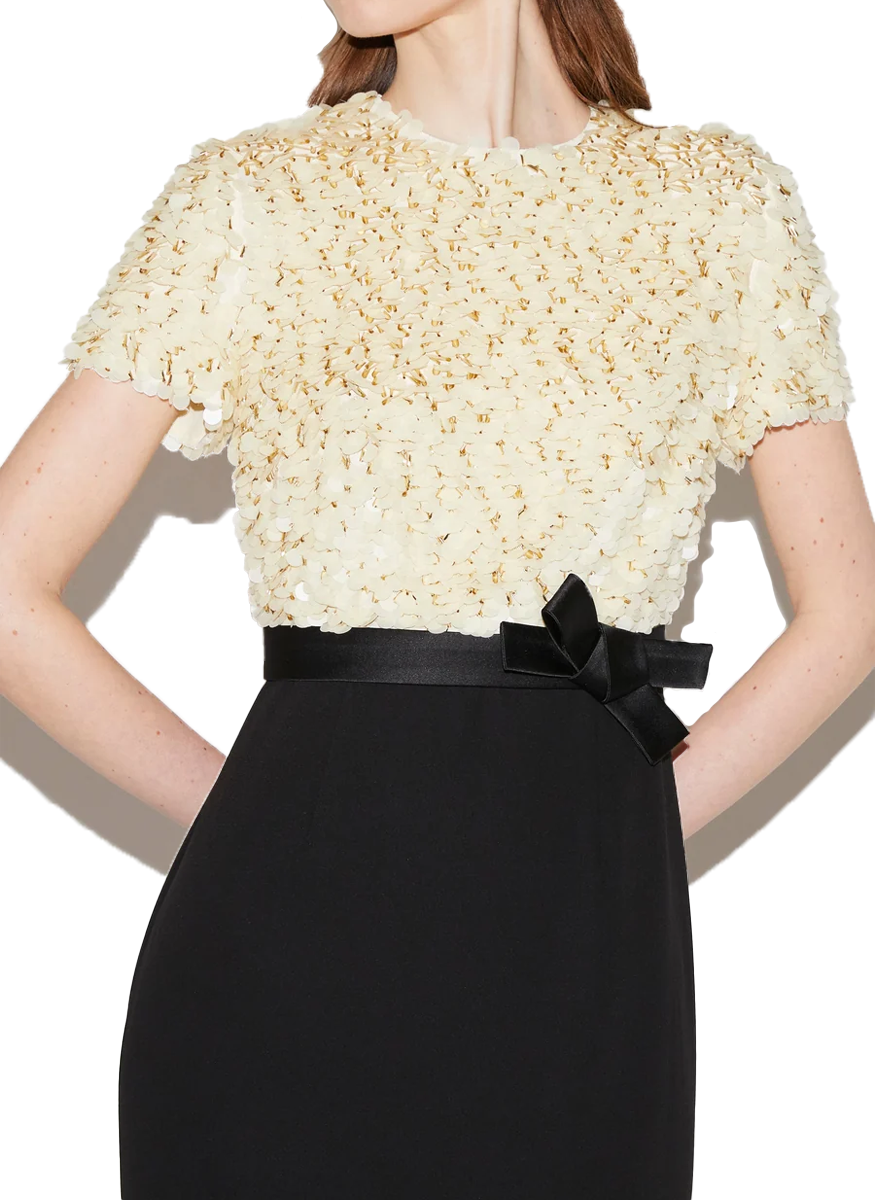 Leila Gown with Black Sable Sequins - Huishan Zhang