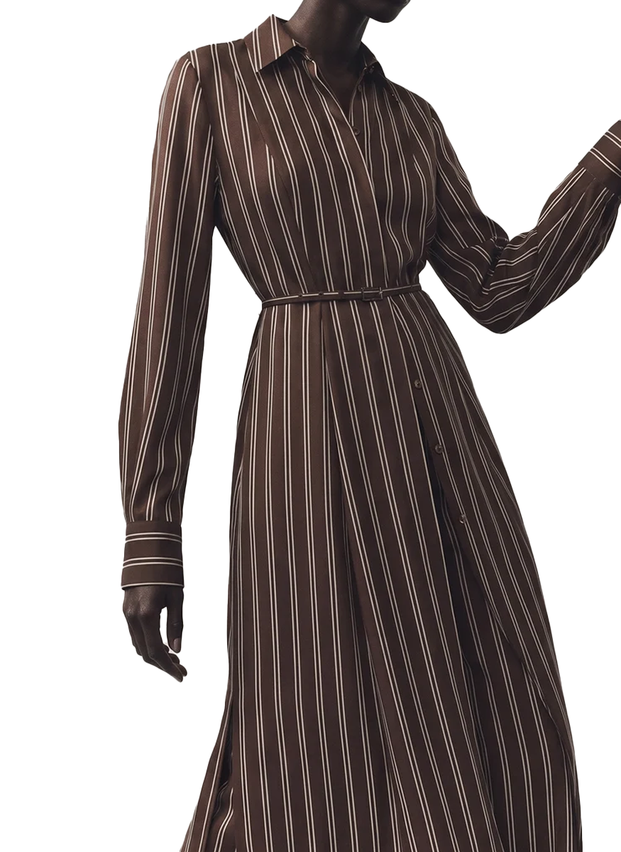 Striped Long Sleeve Midi Shirtdress - Jason Wu Collection