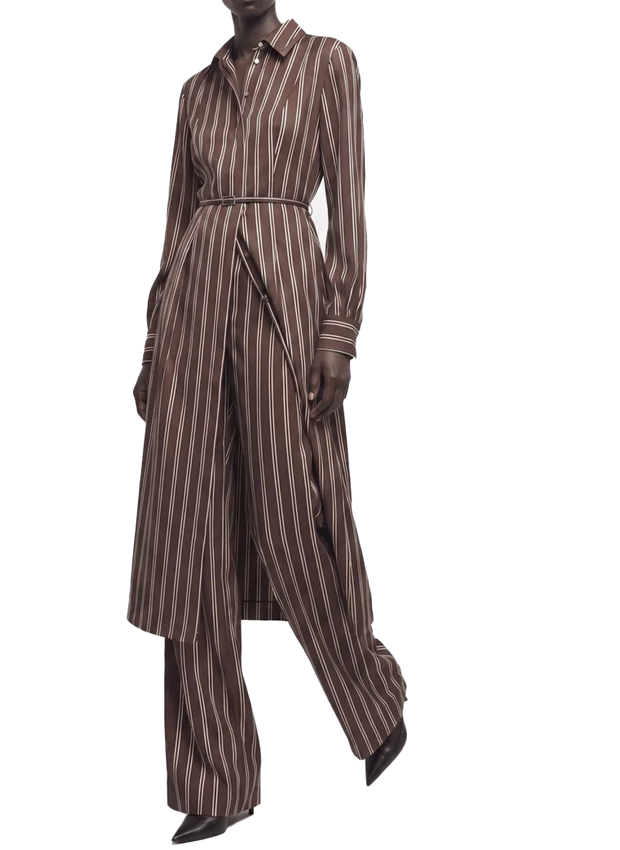Striped Long Sleeve Midi Shirtdress - Jason Wu Collection