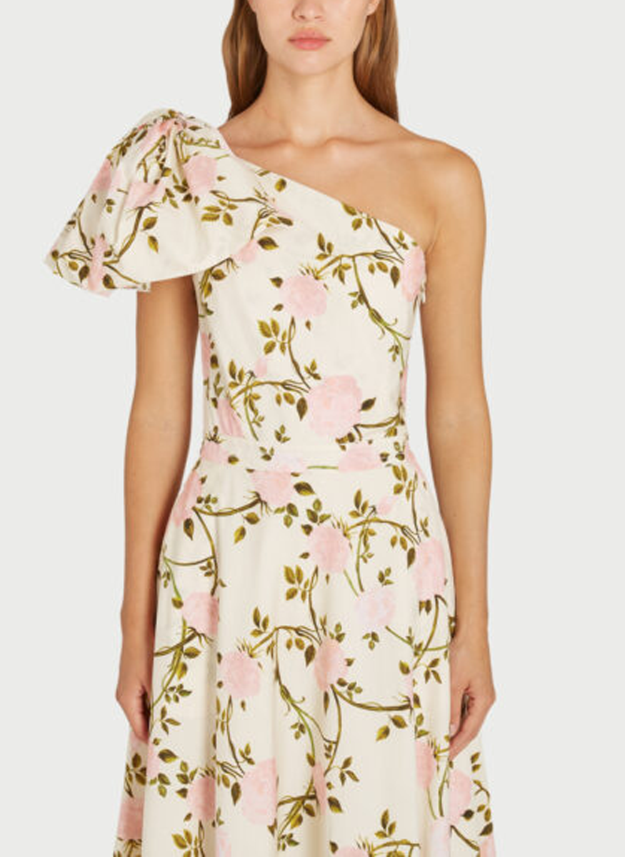 Floral Printed Poplin Midi Dress - Giambattista Valli