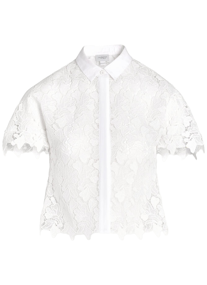 Lace Short Sleeve Top