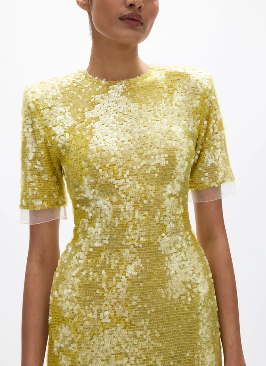 Kaia Sleeve Midi Dress - Rachel Gilbert