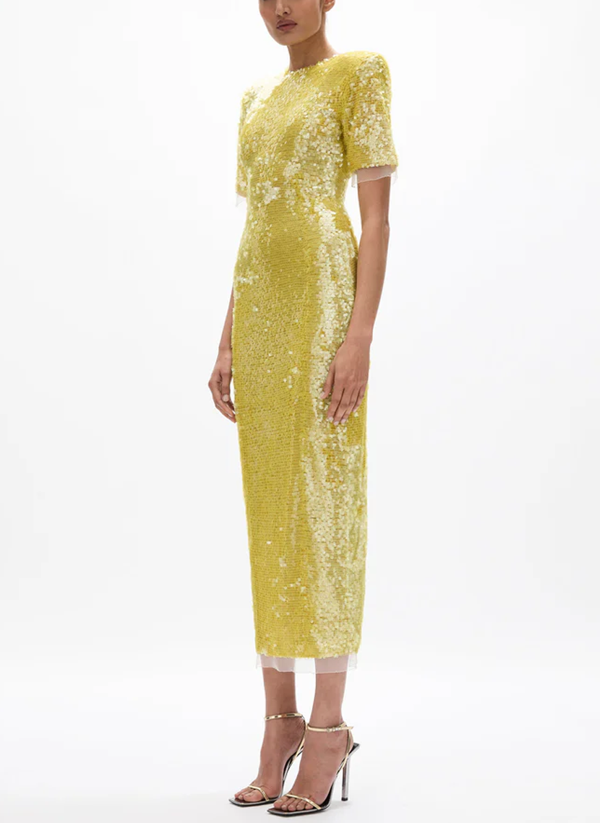 Kaia Sleeve Midi Dress - Rachel Gilbert